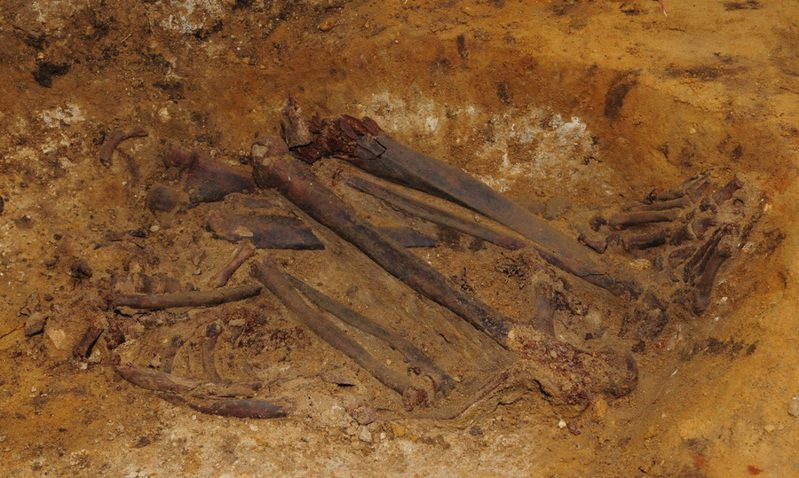 科學家發現更完整的史前人類骨骼，有助重建人類演化史。（Photo by 美軍）
