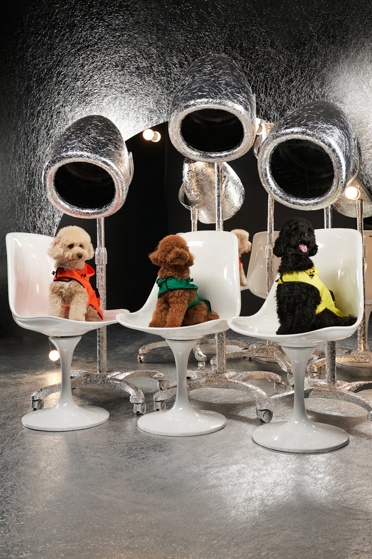 Moncler Genius企劃Poldo Dog Couture愛寵系列。圖／Moncler提供