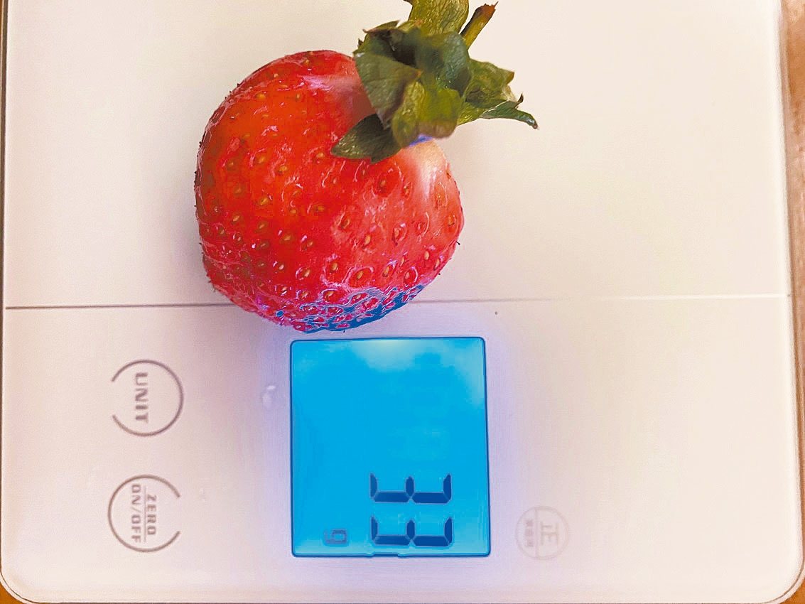 每顆草莓都在30克以上