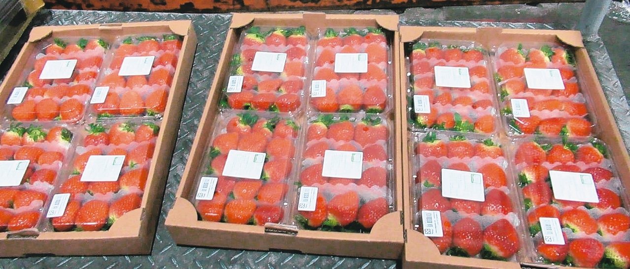 好市多進口的韓國草莓被檢出農藥殘留不符規定，已遭退運或銷毀。
