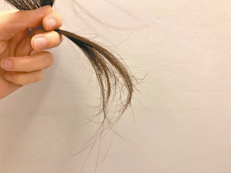 一天掉髮量介於50至100根之間是正常現象，過多可能是壓力、藥物或疾病引起。