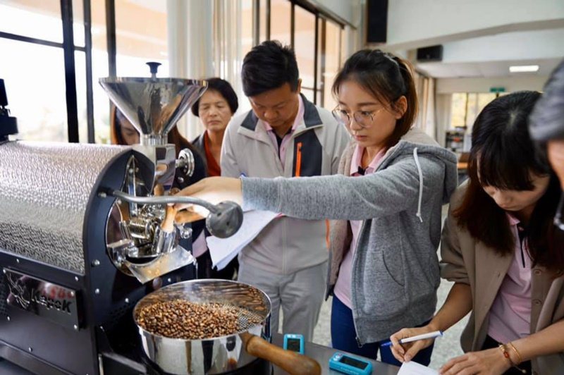 台中市農會打造四角林咖啡莊園，共種植近8000株咖啡樹，因低度開發，並保持原始生...