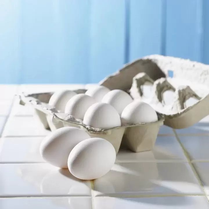 蛋的保存也不易，蛋有毛細孔幾千個，蛋會呼吸，很新鮮的蛋3天內要食畢，新鮮的蛋打出...