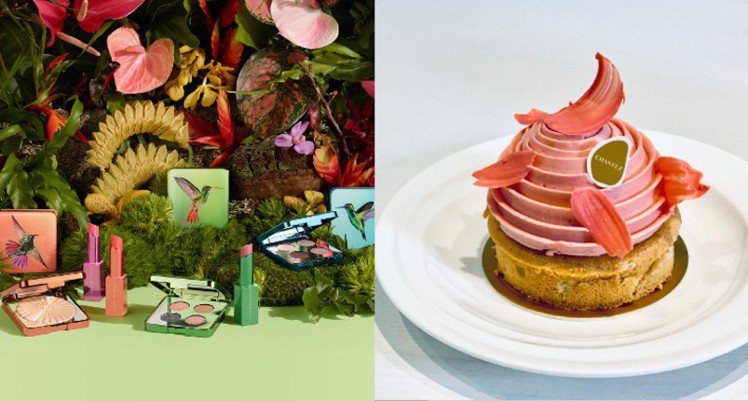 香緹卡與知名精品法式甜點甜點店­穿石CHANTEZ Pâtisserie合作，以亞馬遜雨林豐富的生態系與斑斕物種為靈感，推出一系列精美甜點。圖為「芬芬」糕點。圖／香緹卡提供、記者吳曉涵攝影