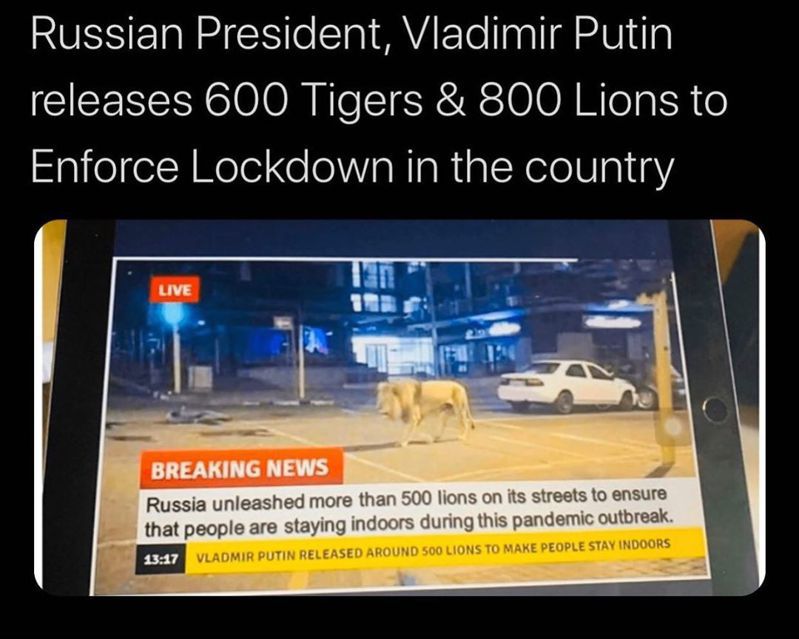 近日民眾瘋傳的假消息，稱俄羅斯總統普丁放出上百隻老虎及獅子，要防止民眾出門。圖/Reuters