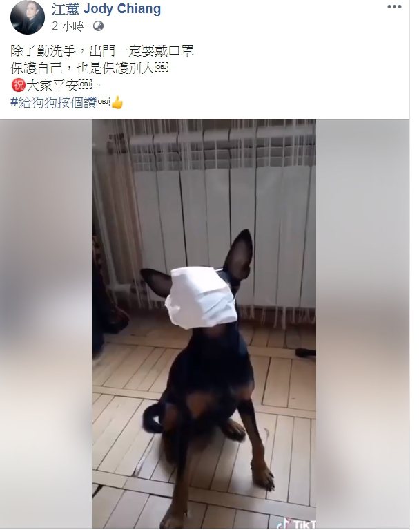 江蕙Po出狗狗戴口罩的影片，引起網友熱議。圖／摘自臉書
