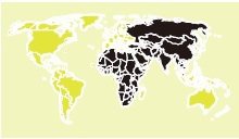 H5N1全球分布圖