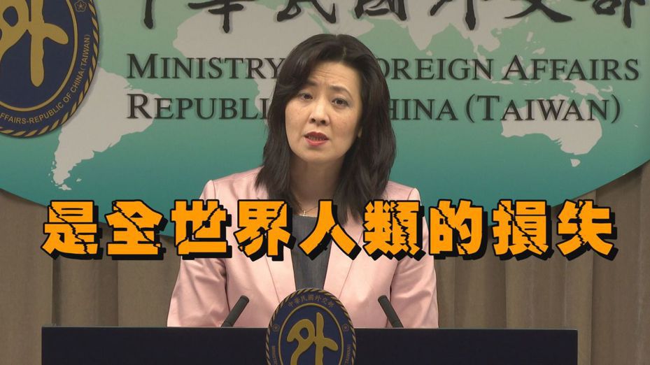 歐江安說沒有世界衛生組織未納入台灣參與，「其實是WHO的損失，是全世界人類的損失」。記者徐宇威／攝影