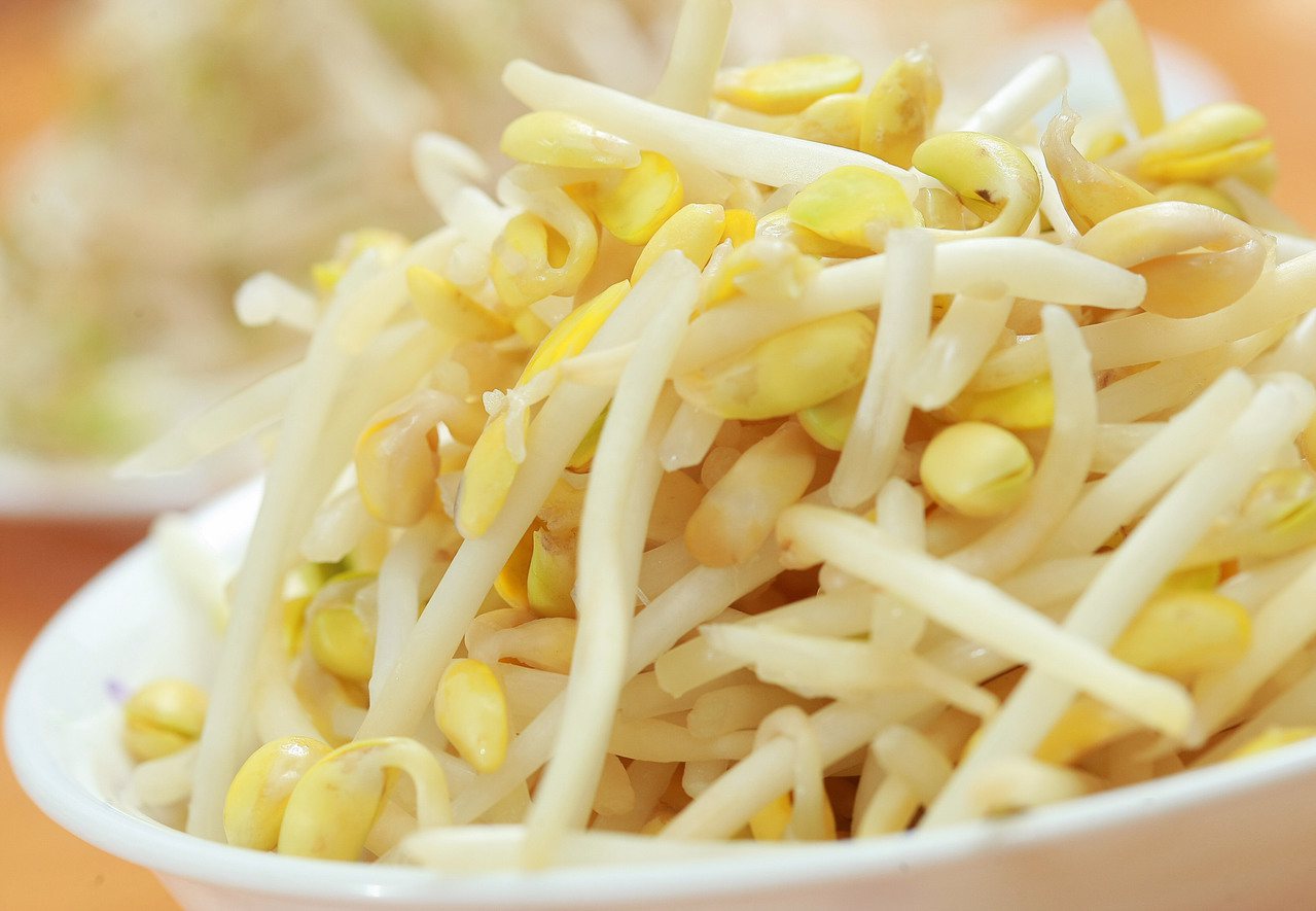黃豆芽含大豆異黃酮、卵磷脂。 圖／邱瓊玉 攝影
