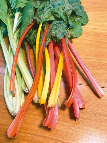 莙薘菜是甜菜的變種，比甜菜根的色彩更豐富。 圖／朱慧芳