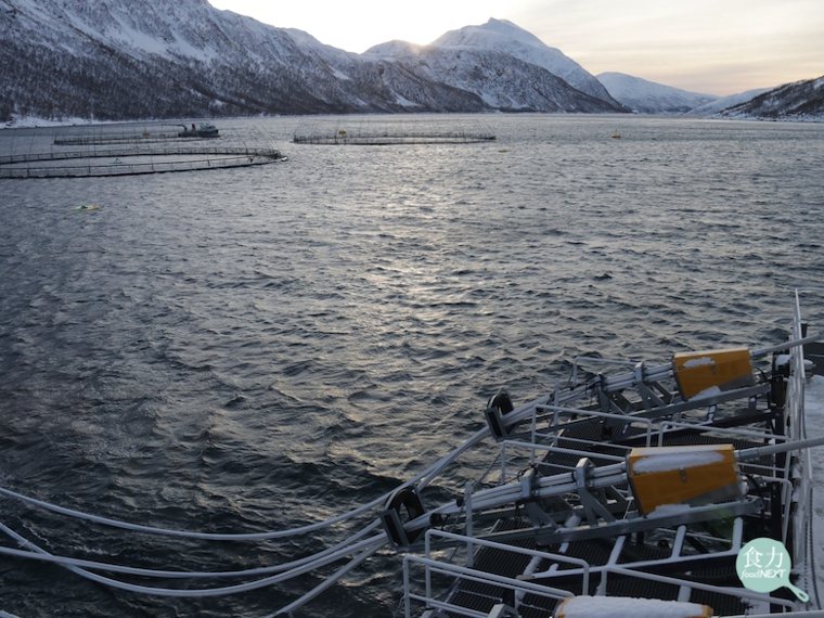 挪威的鮭魚養殖場設置在海上（左上方即為養殖箱網），工作船上配置有自動飼料餵食器，...