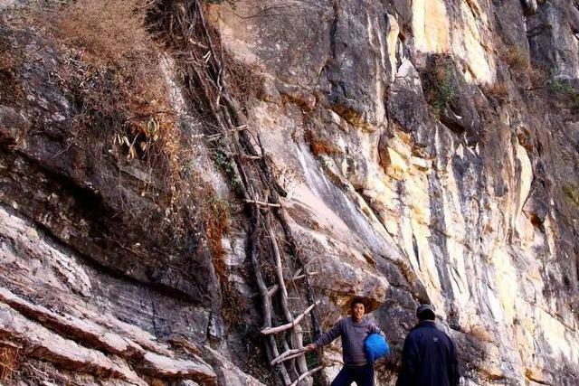 早前的懸崖村村民以藤梯為輔助，出村進村要行走在陡峭的山崖邊。圖／取自新華觀點