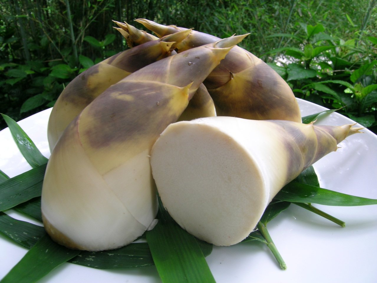 竹筍可涼拌也可煮湯，是很適合夏天吃的食材。