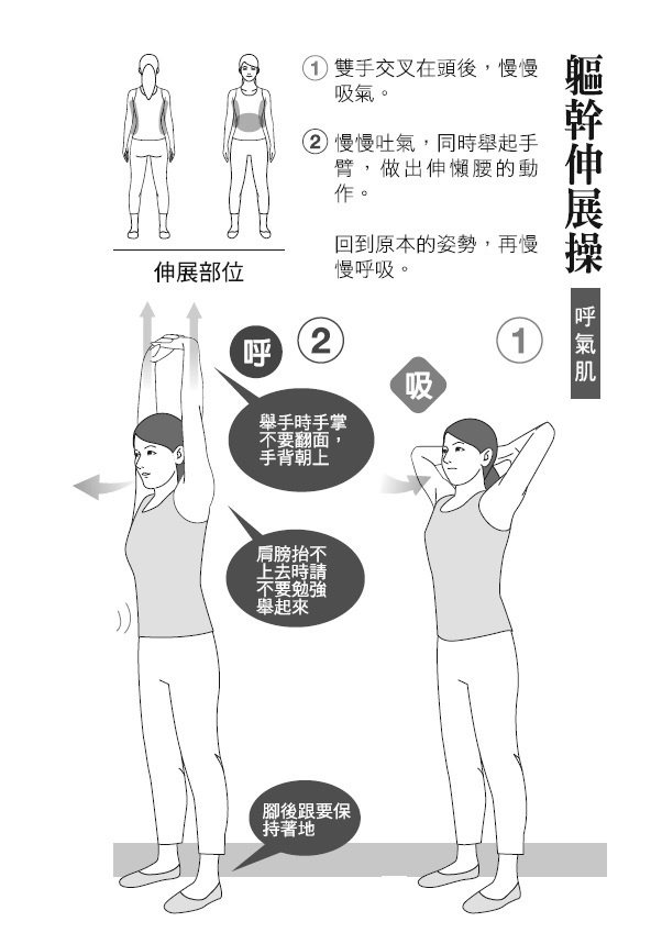 步驟4：軀幹伸展操 圖／健行文化提供