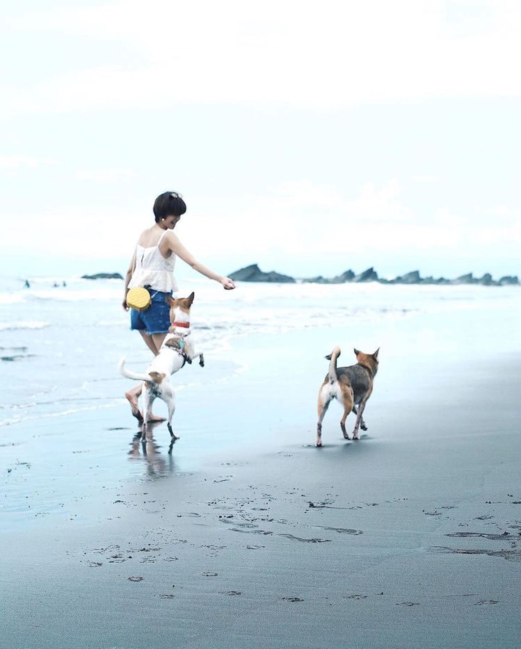 陳庭妮背著kate spade野餐系列鳳梨造型肩背包去海灘玩耍。圖／取自IG
