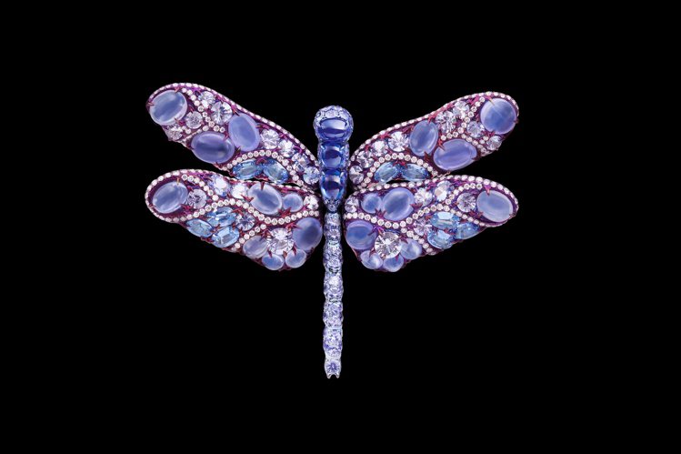 AKACHEN蜻蜓胸針，鈦金屬、19.8克拉紫玉、2.57克拉白鑽、21.91克拉藍寶，約275萬元。圖／AKACHEN提供