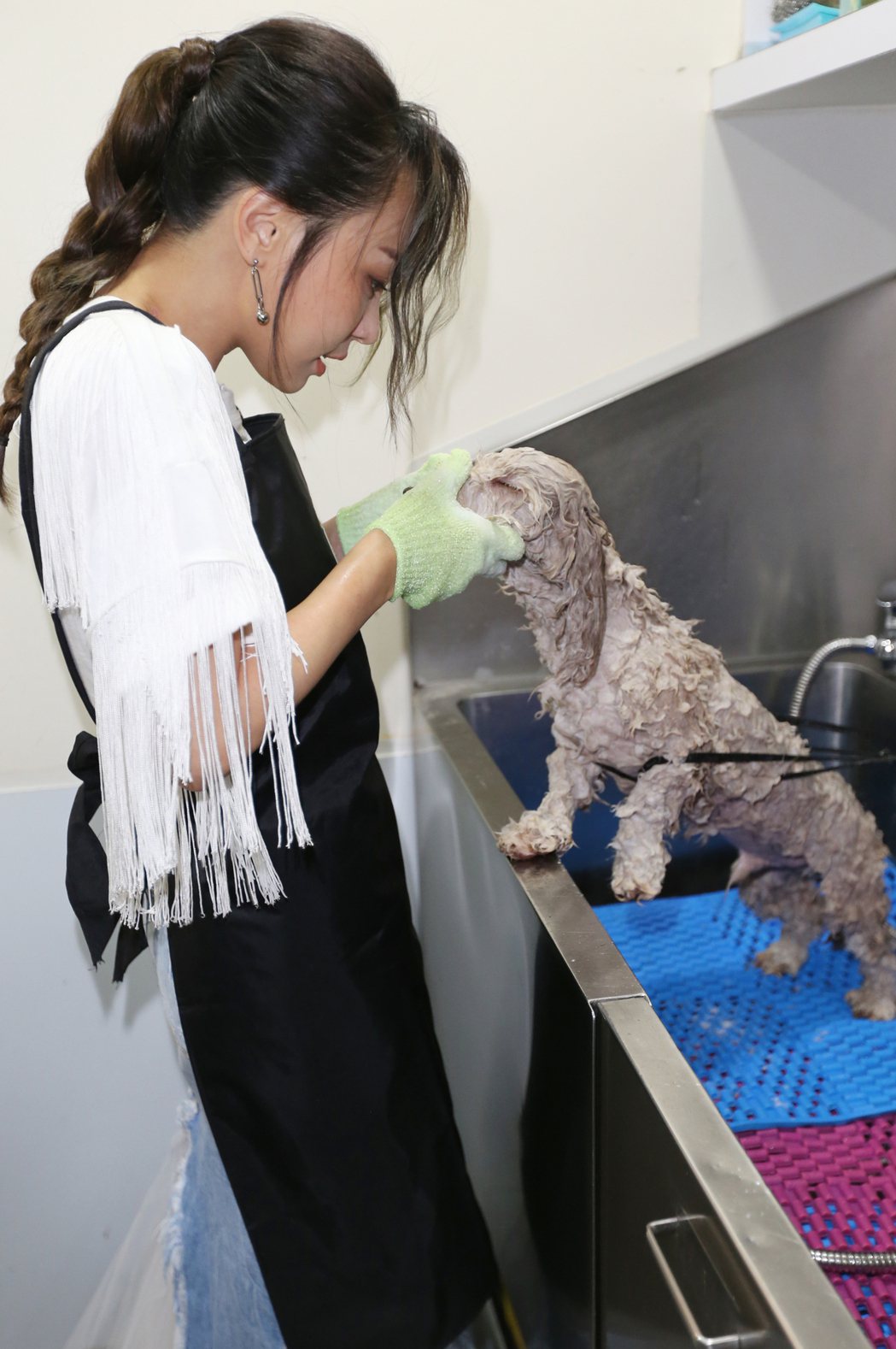 林采欣(左)幫愛犬沙寶洗澡。記者曾學仁／攝影