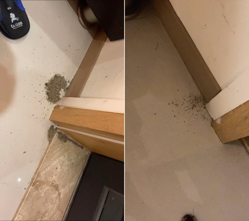 一名網友在家中發現地板上有好幾處小土堆，PO網後引來許多人提醒有可能是白蟻。 圖／翻攝自PTT