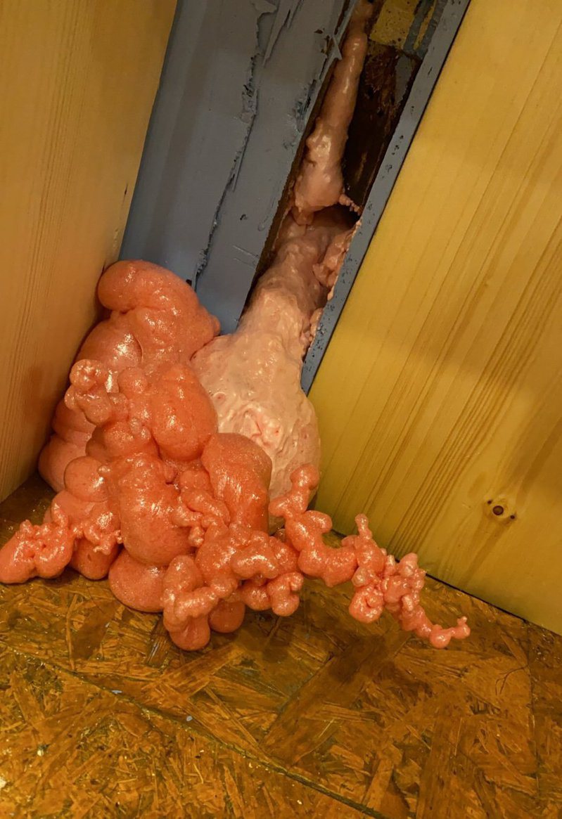 桌遊店牆上破洞出現類似肉塊的粉紅色物體。圖擷自Twitter