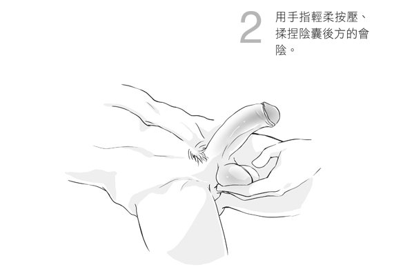2.用手指輕柔按壓、揉捏陰囊後方的會陰。圖／摘自《玩性：給女人的性愛指導》