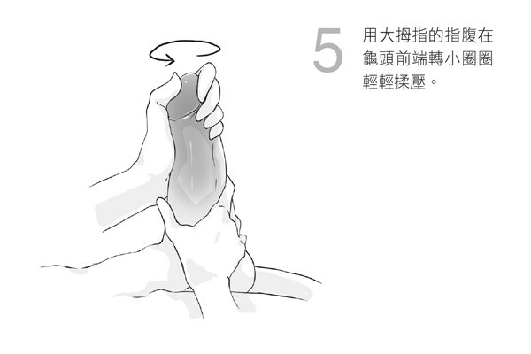 5. 用大拇指的指腹在龜頭前端轉小圈圈輕輕揉壓。圖／摘自《玩性：給女人的性愛指導...