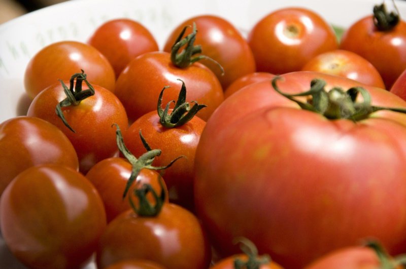 番茄是明星等級的蔬果。 圖／ingimage 提供