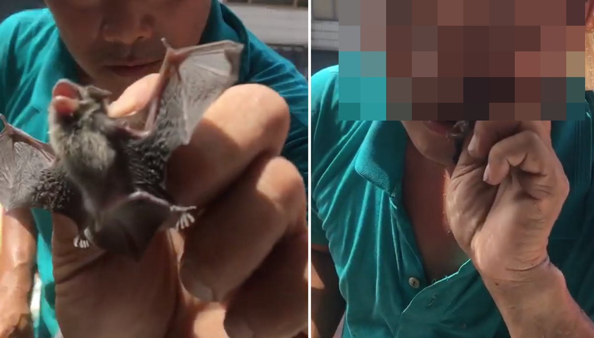 一名男子將小蝙蝠放進嘴中咀嚼後吞進肚裡。 