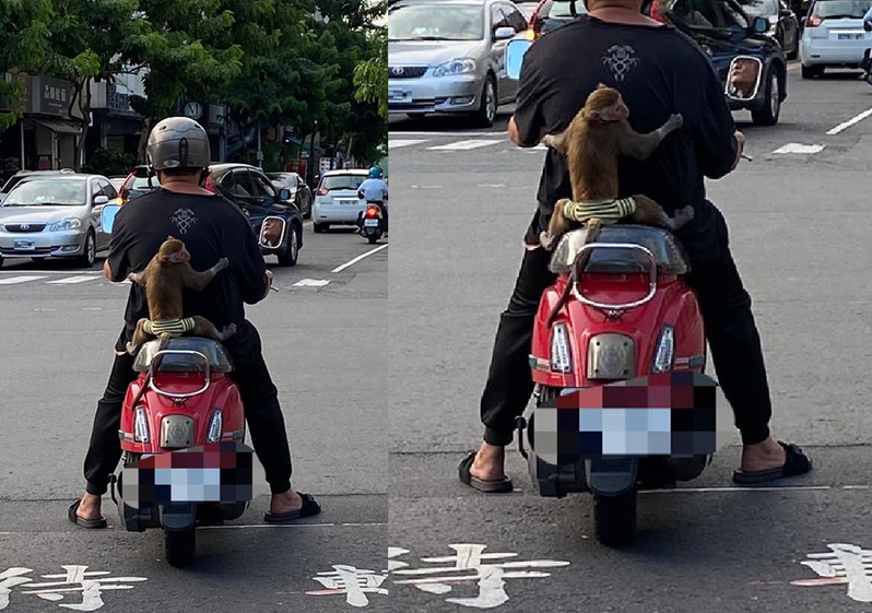 騎士載猴子出門，荒謬一幕讓網友看傻。圖擷自facebook