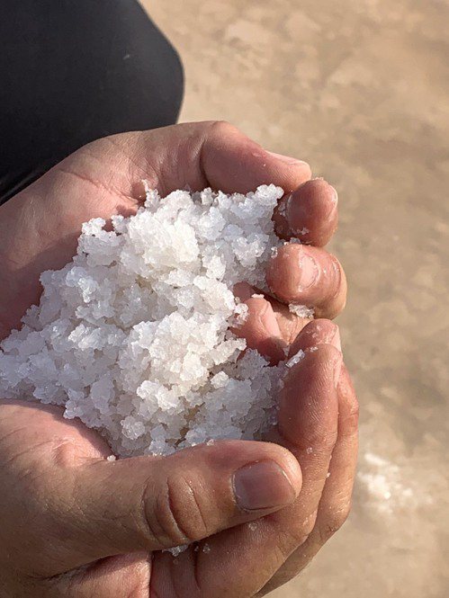 洲南鹽場的粗鹽。圖／蔡珠兒提供
