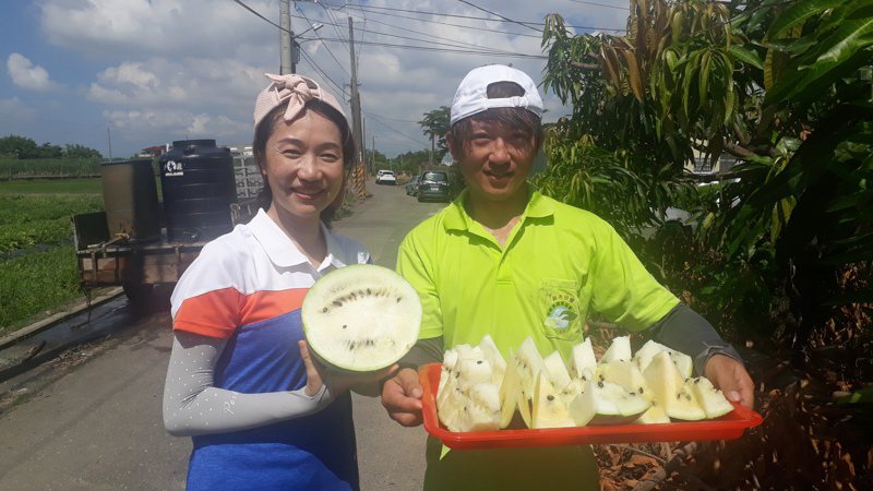 台南青農蘇宇洋（右）種出白肉西瓜，農會總幹事李美嬅第一次看到時也很驚訝。記者周宗禎／攝影