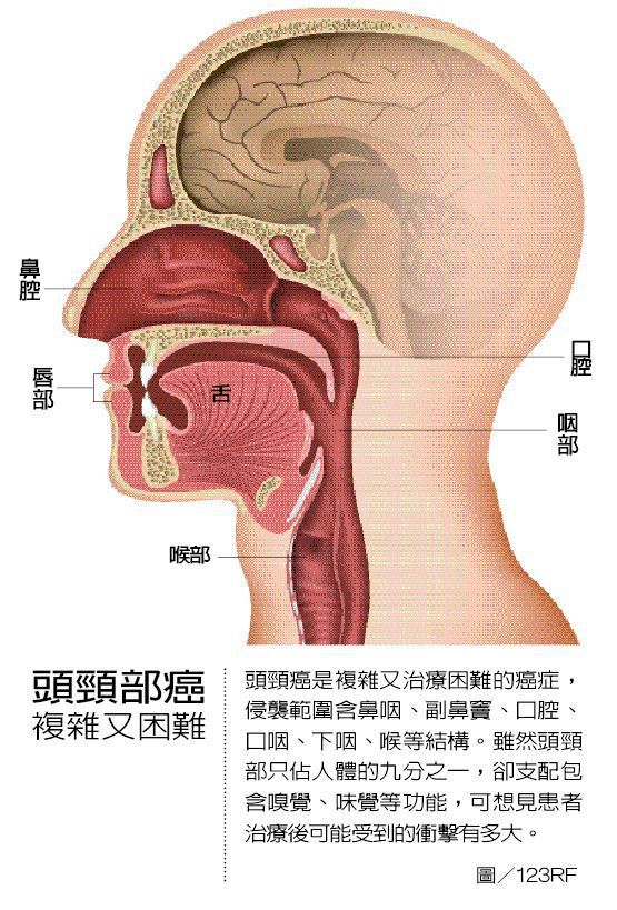 頭頸部癌 複雜又困難 圖/123RF