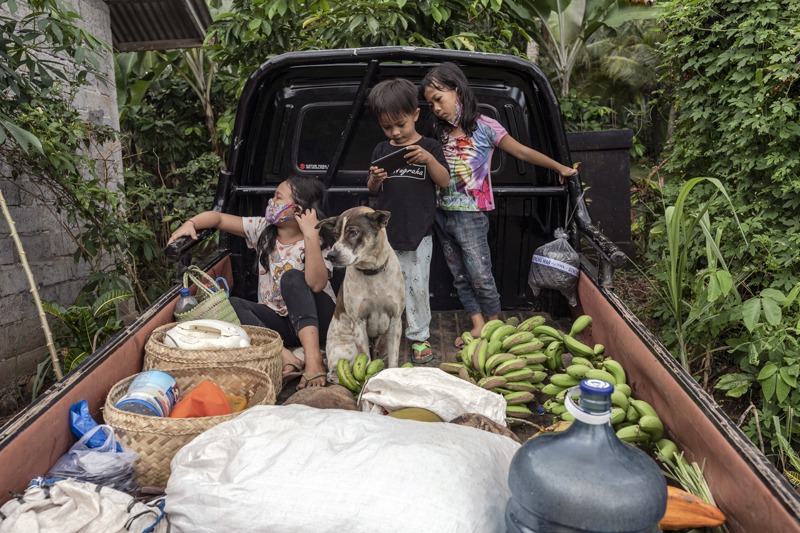 受疫情影響被迫失業的峇里島民眾在返鄉後忙於田活，圖為他們所種的香蕉、椰子、木瓜與丁香等農產品。圖／摘自紐約時報