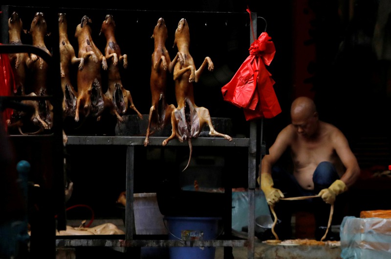 深圳已成中國大陸第一個禁食狗肉的城市。圖為廣西省玉林市的一個狗肉攤。路透