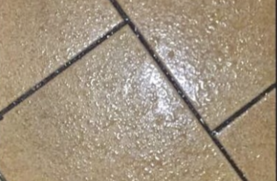 天花板的漏水都滴到地板上。圖擷自Mobile01