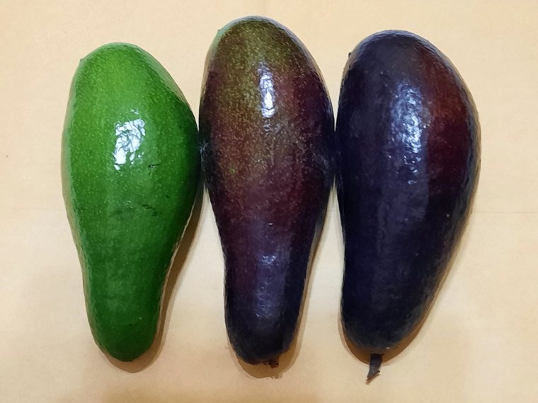 酪梨果實成熟度無法由外皮顏色辨別，少數品種的酪梨果皮會從黃綠色轉成紫色、紫紅色或...