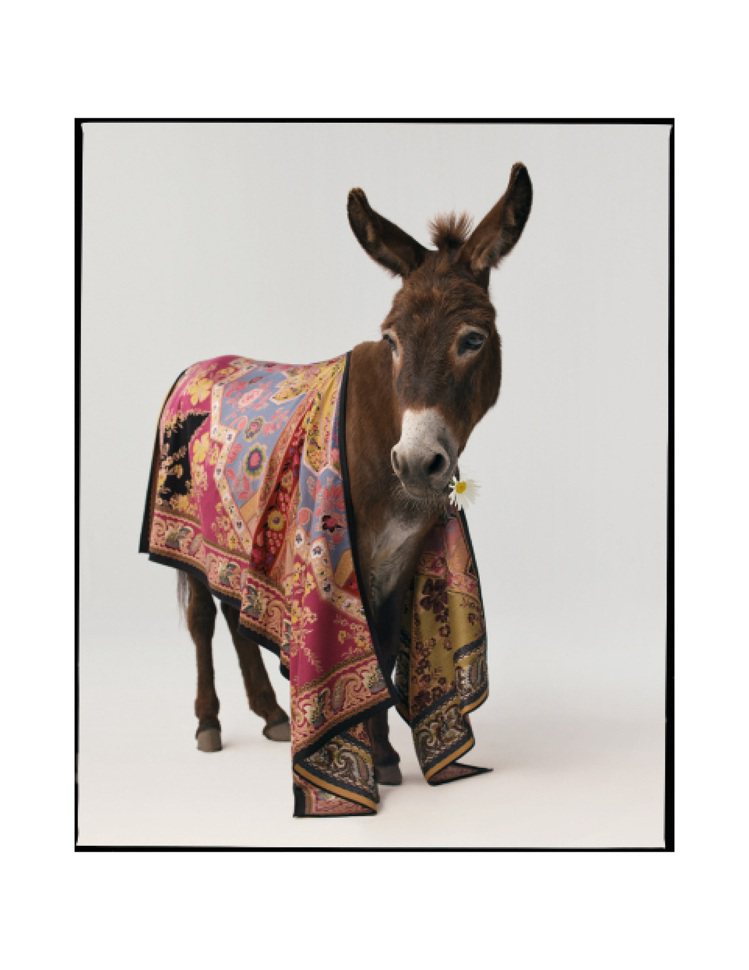 驢子是ETRO絲巾的模特兒。圖／ETRO提供