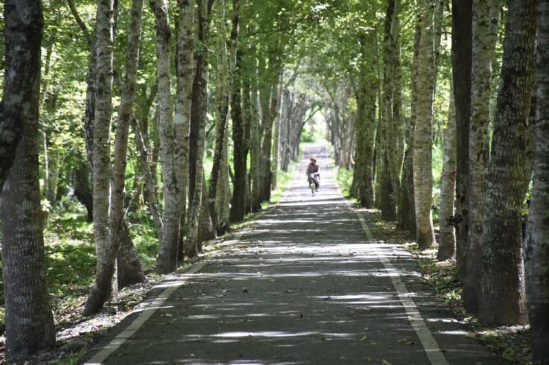 大農大富平地森林園區有自行車道，可一邊騎單車一邊享受芬多精。 圖／王思慧 攝影