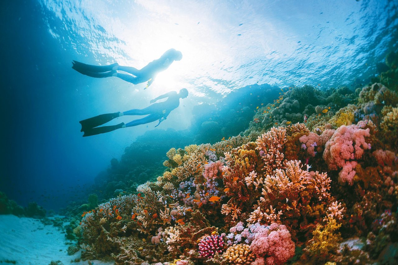 自由潛水下潛深度較淺，但仍可能因為不諳水性或不熟悉潛水姿勢而出現溺水意外。圖／123RF