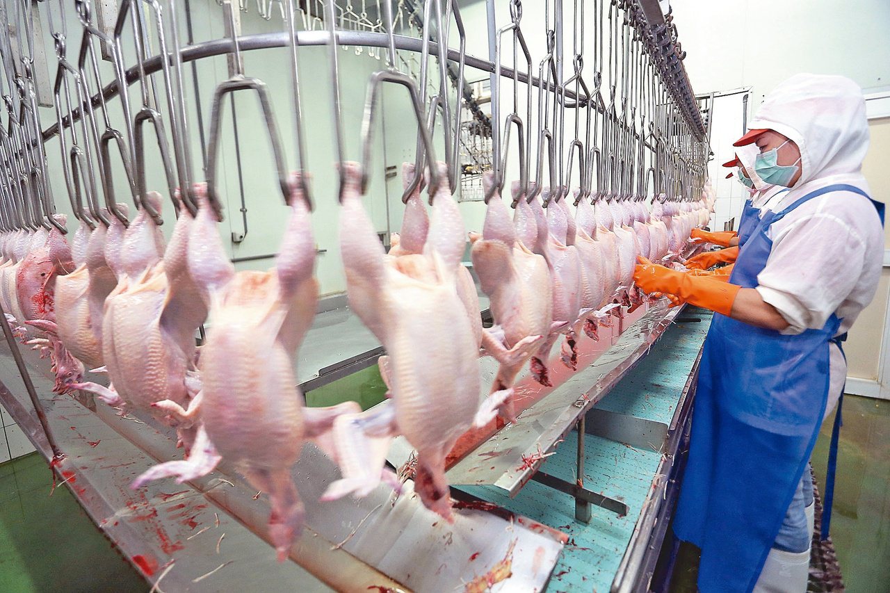 國內白肉雞業者去年開始，要求應進一步規範標示屠宰日期和包裝日期，讓國人採購時，可輕易辨別。報系資料照片