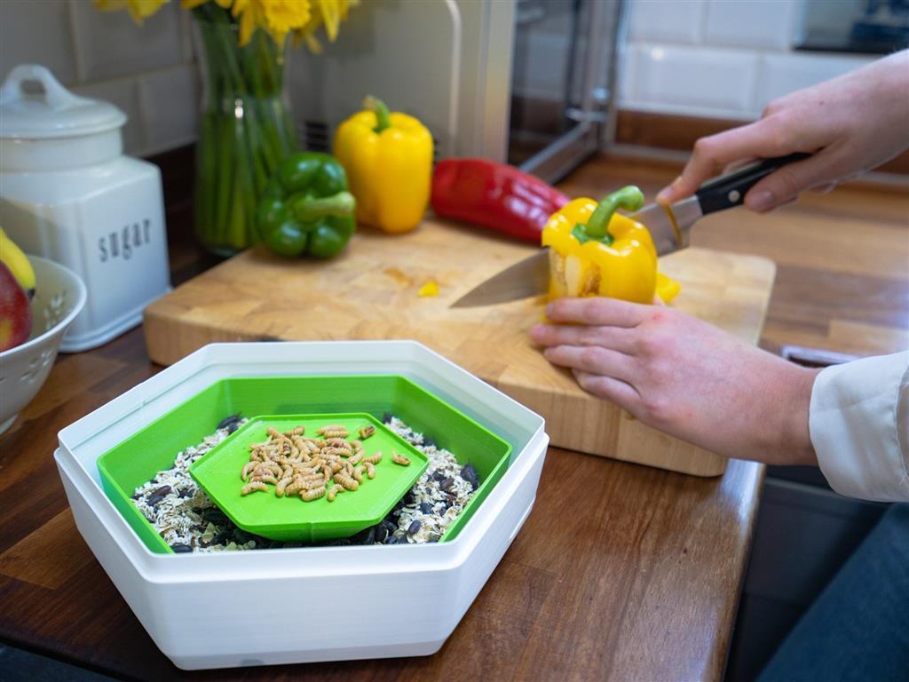 英國的新創公司「BeoBia」推出了一款名為「Re_」的昆蟲養殖容器。