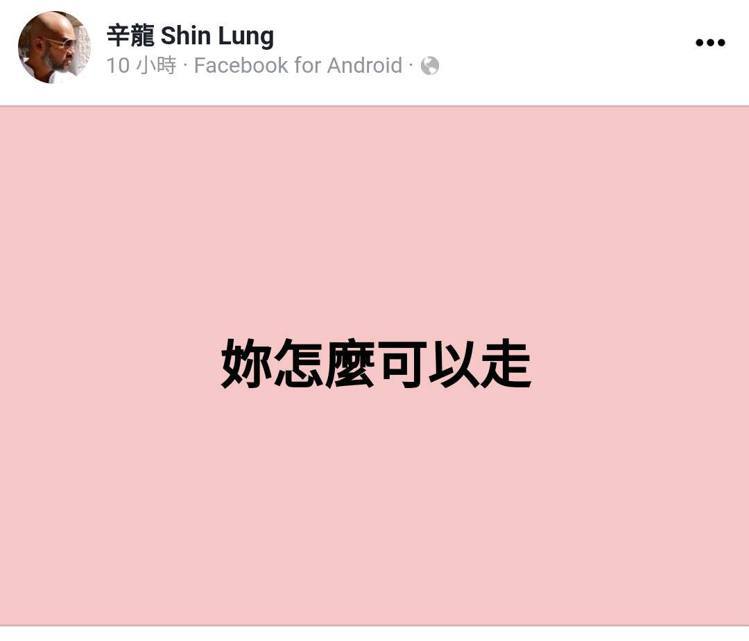 辛龍發文訴對劉真離世的哀痛。 圖／擷自辛龍臉書