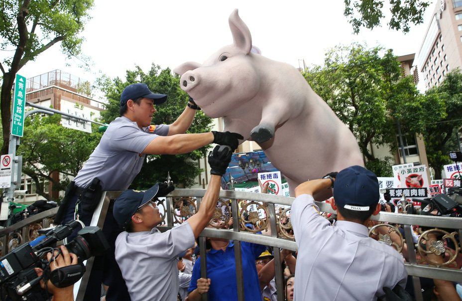 圖為豬農2016年抗議美豬進口資料照。本報資料照片