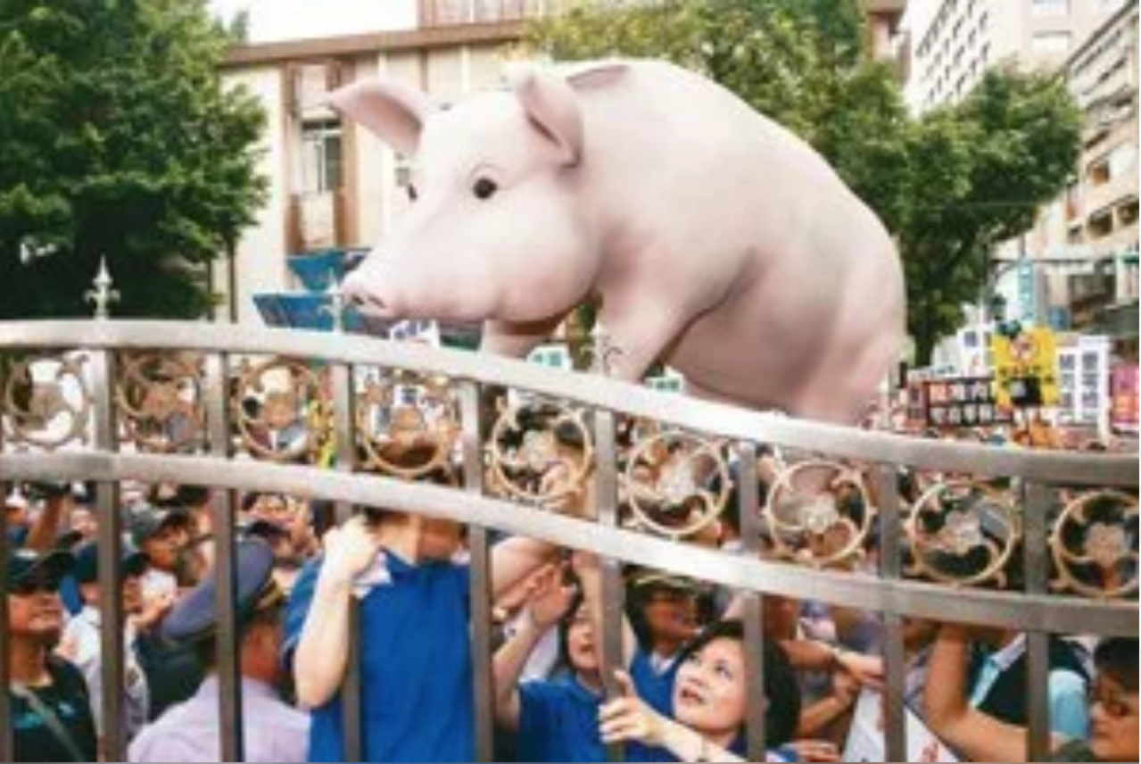 萊劑美豬開放引發爭議。本報資料照片