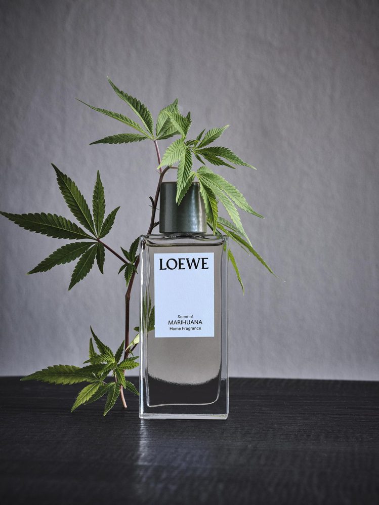LOEWE大麻味香氛系列於亞太區皆不進口販售。圖／LOEWE提供