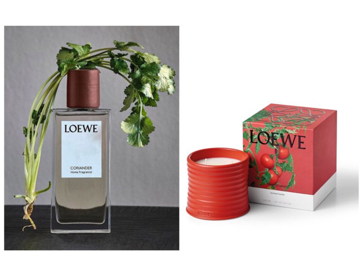 LOEWE推出11種植物的香氛蠟燭、噴霧、擴香和燭台。圖／LOEWE提供
