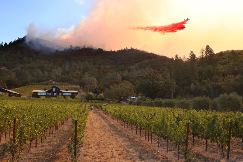 消防飛機撒下大量滅火阻燃劑仍擋不住蔓燒的野火，美國北加州各處葡萄酒業者能保住酒廠已屬萬幸。法新社