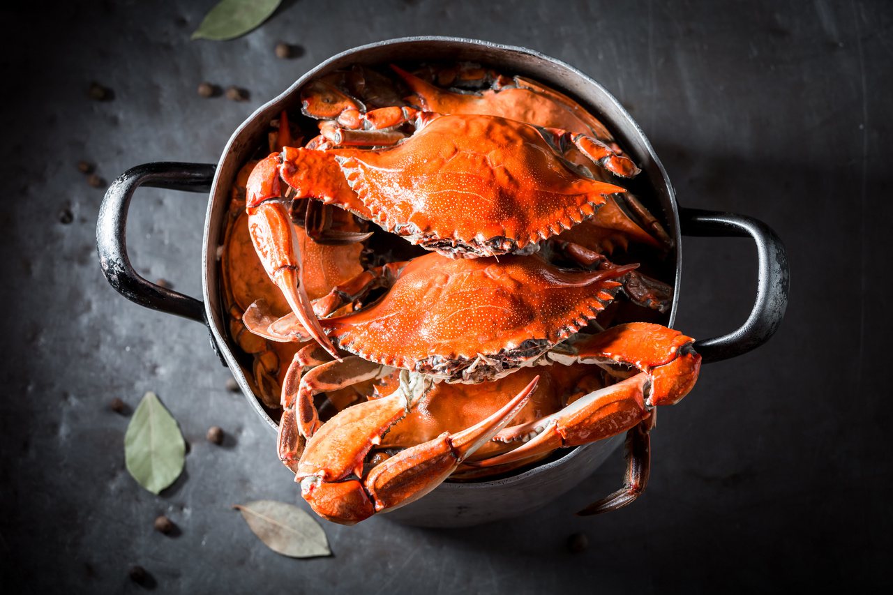 蟹肉含優質的蛋白質，但膽固醇和普林含量高，高血脂、痛風的人不宜食用。圖╱123RF