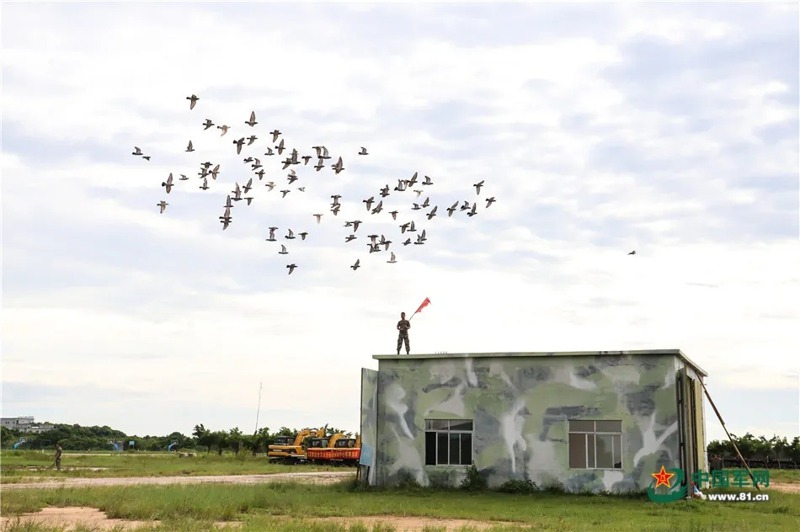 一名軍鴿員在演習地訓練軍鴿歸巢。圖／取自中國軍網