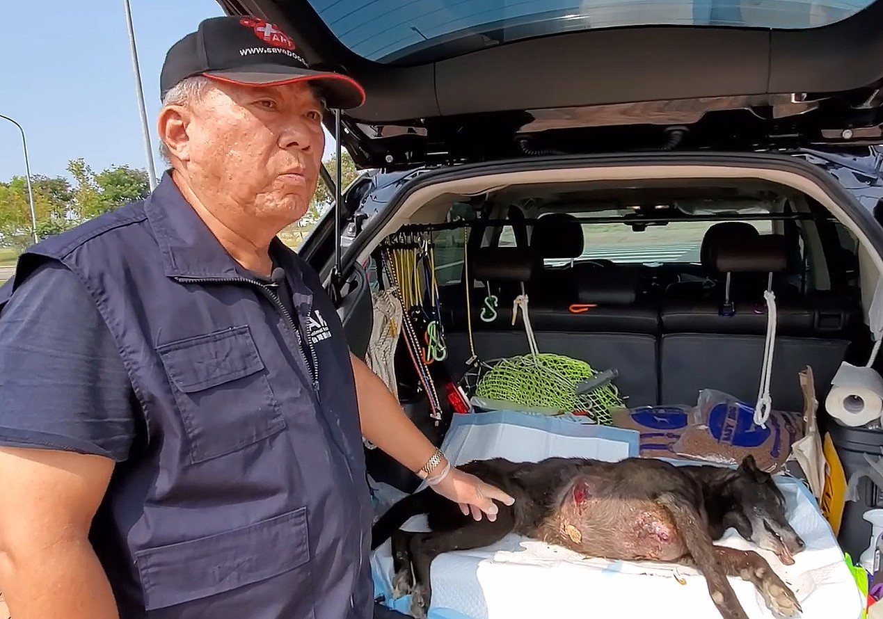 台灣動物緊急救援小組在高雄路竹救到一隻胸部垂掛巨大腫瘤的狗。記者王昭月／翻攝