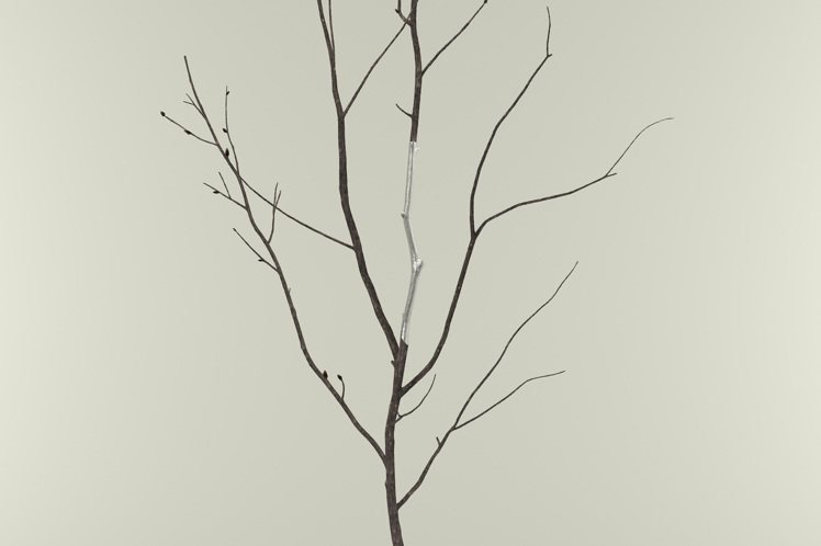 ISSEY MIYAKE以冰雪樺木的輪廓打造樹枝形貌的ICY BRICH錫手環。圖／ISSEY MIYAKE提供